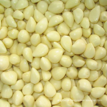 Wholesale peeled garlic for sale